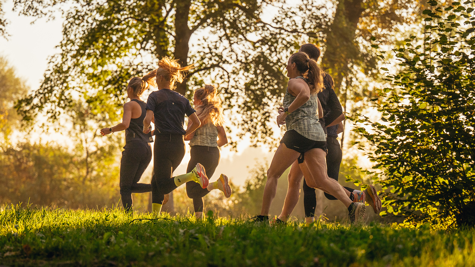 Group run at sunrise